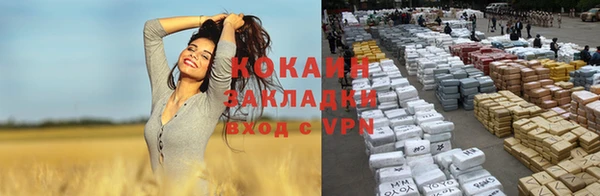 ешки Алзамай