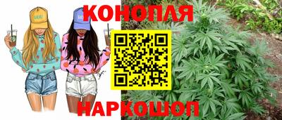 мдпв Ипатово