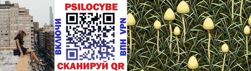 Галлюциногенные грибы Cubensis  что такое   Сосновоборск 